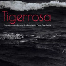 Slow Motion Underwater Psychedelia and Other Tasty Treats mp3 Album by Tigerrosa