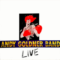 Live mp3 Live by Andy Goldner Band