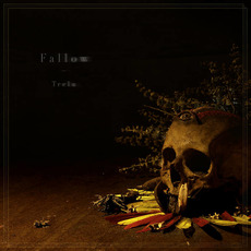 Trelu mp3 Album by Fallow