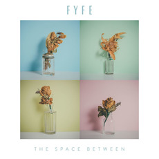 The Space Between mp3 Album by Fyfe