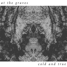 Cold and True mp3 Album by At The Graves