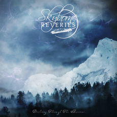 Drifting Through the Aurorae mp3 Album by Skyborne Reveries