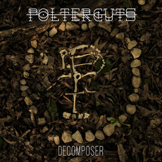 Decomposer mp3 Album by Polterguts