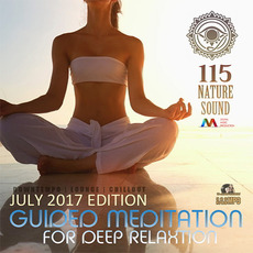 Guided Meditation: 115 Nature Sound mp3 Compilation by Various Artists