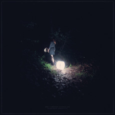 Darkness Forgives mp3 Album by The Saddest Landscape
