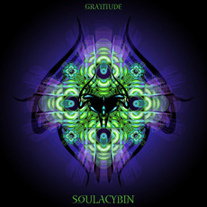 Gratitude mp3 Album by Soulacybin