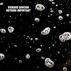 Nothing Important mp3 Album by Richard Dawson