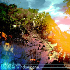 Capitose Windowpane mp3 Album by Vektordrum