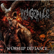 Worship Defiance mp3 Album by Vengeance Within