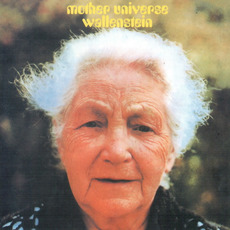 Mother Universe (Re-Issue) mp3 Album by Wallenstein