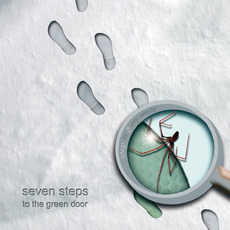 Step in 2 My World mp3 Album by Seven Steps to The Green Door