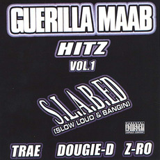 Hitz, Vol. 1 (S.L.A.B.-Ed) mp3 Compilation by Various Artists