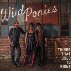 Things That Used to Shine mp3 Album by Wild Ponies