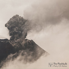 Piety of Ashes mp3 Album by The Flashbulb