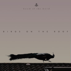 Birds on the Roof (Deluxe Edition) mp3 Album by Head Of The Herd
