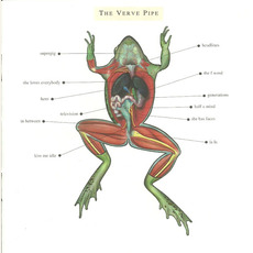 The Verve Pipe mp3 Album by The Verve Pipe