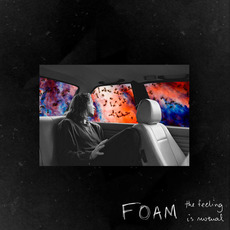 The Feeling Is Mutual mp3 Album by FOAM