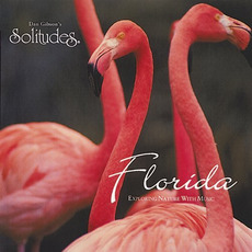 Florida mp3 Album by Dan Gibson