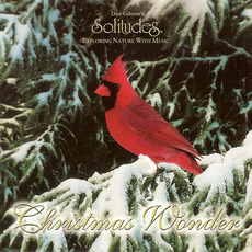 Solitudes: Christmas Wonder mp3 Album by Dan Gibson