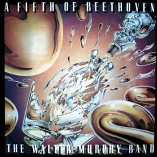 A Fifth of Beethoven mp3 Album by The Walter Murphy Band