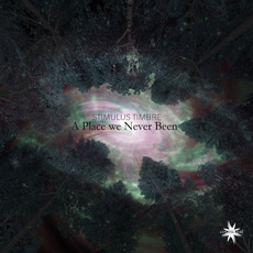 A Place We Never Been mp3 Album by Stimulus Timbre