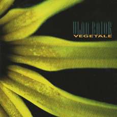 Végétale mp3 Album by Ulan Bator