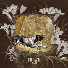 Run mp3 Album by Prawn
