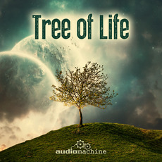 Tree of Life mp3 Album by audiomachine