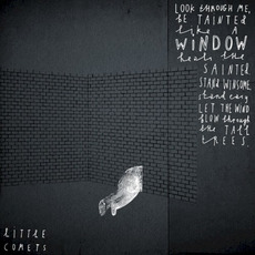 The Sanguine mp3 Album by Little Comets