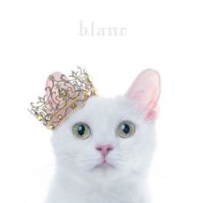 BEST SELECTION "blanc" mp3 Artist Compilation by Aimer