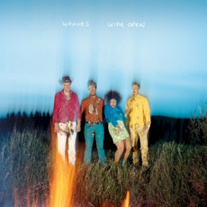 Wide Open mp3 Album by Weaves