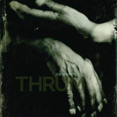 Thrum mp3 Album by Joe Henry