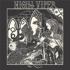 Exterminator mp3 Album by Night Viper