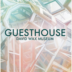 Guesthouse mp3 Album by The David Wax Museum