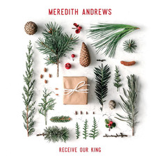Receive Our King mp3 Album by Meredith Andrews