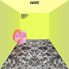 Juice mp3 Album by Medeski Scofield Martin & Wood