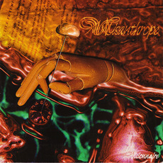 Visionnaire mp3 Album by Misanthrope