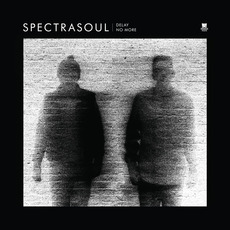 Delay No More (Deluxe Digital Album) mp3 Album by Spectrasoul
