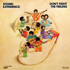 Don't Fight the Feeling mp3 Album by Sound Experience