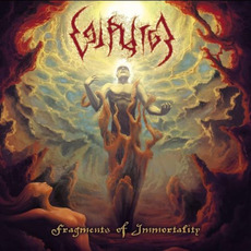 Fragments Of Immortality mp3 Album by Valpurga