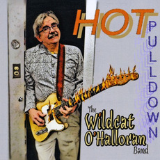Hot Pulldown mp3 Album by The Wildcat O'halloran Band