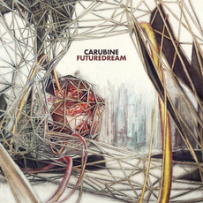 Futuredream mp3 Album by Carubine