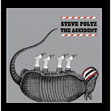 The Accident mp3 Album by Steve Poltz