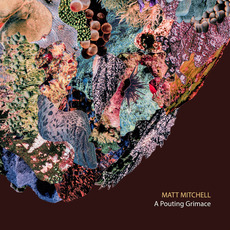 A Pouting Grimace mp3 Album by Matt Mitchell