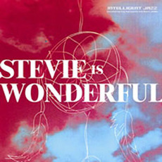 Stevie Is Wonderful mp3 Album by Intelligent Jazz