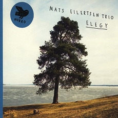 Elegy mp3 Album by Mats Eilertsen Trio