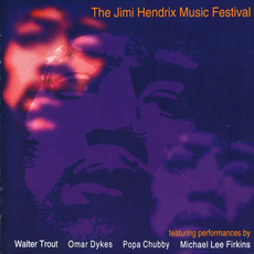 Jimi Hendrix Music Festival mp3 Compilation by Various Artists
