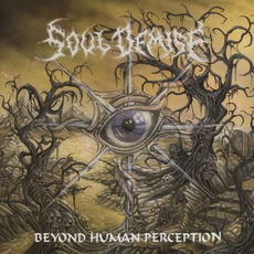 Beyond Human Perception mp3 Album by Soul Demise