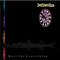 Wait for Everything mp3 Album by Barracudas