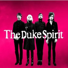 The Duke Spirit mp3 Artist Compilation by The Duke Spirit